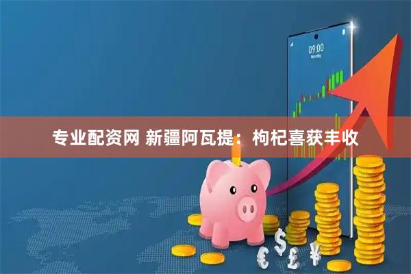 专业配资网 新疆阿瓦提：枸杞喜获丰收